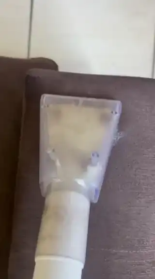 Vídeo: higienização de sofá com extratora